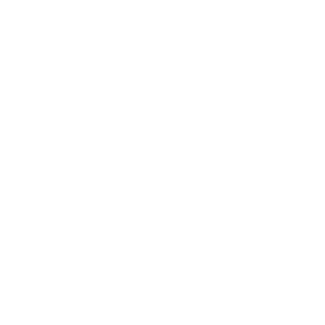 kingmax