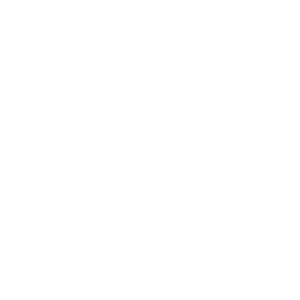 ravpower