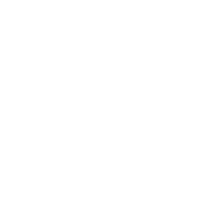 vivotek