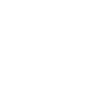 epson-2